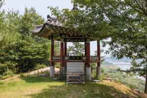 천정대