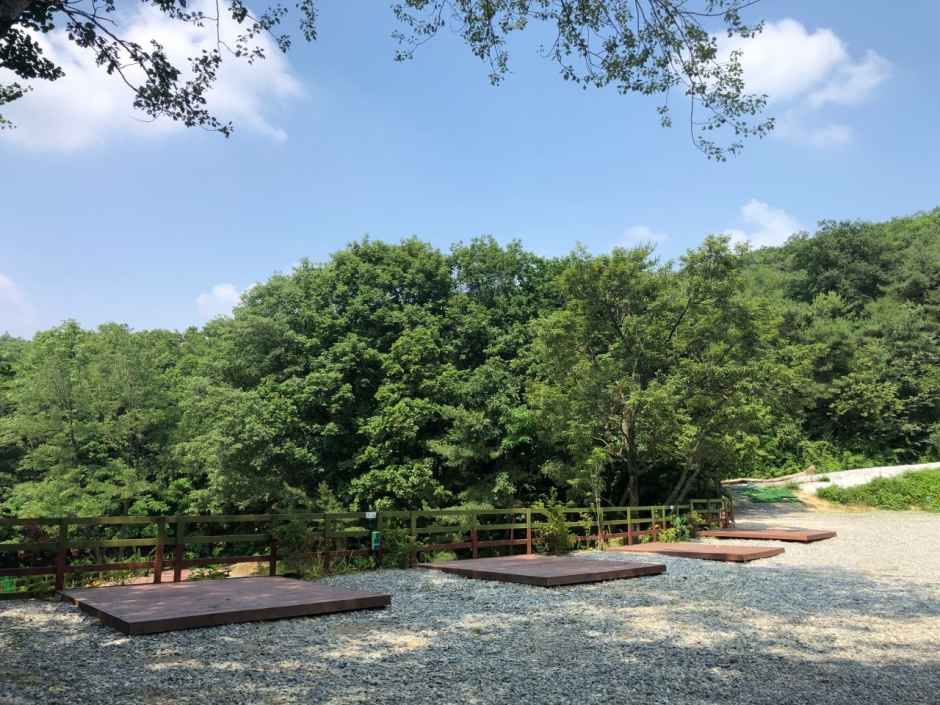 용인둥지골캠핑장