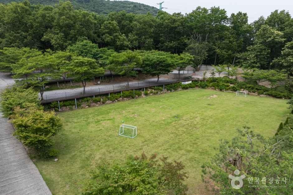 낭만에코파크 사진 8