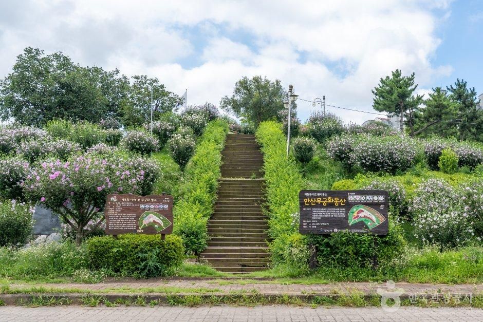 경기_안산시_안산호수공원 무궁화동산 (1).jpg