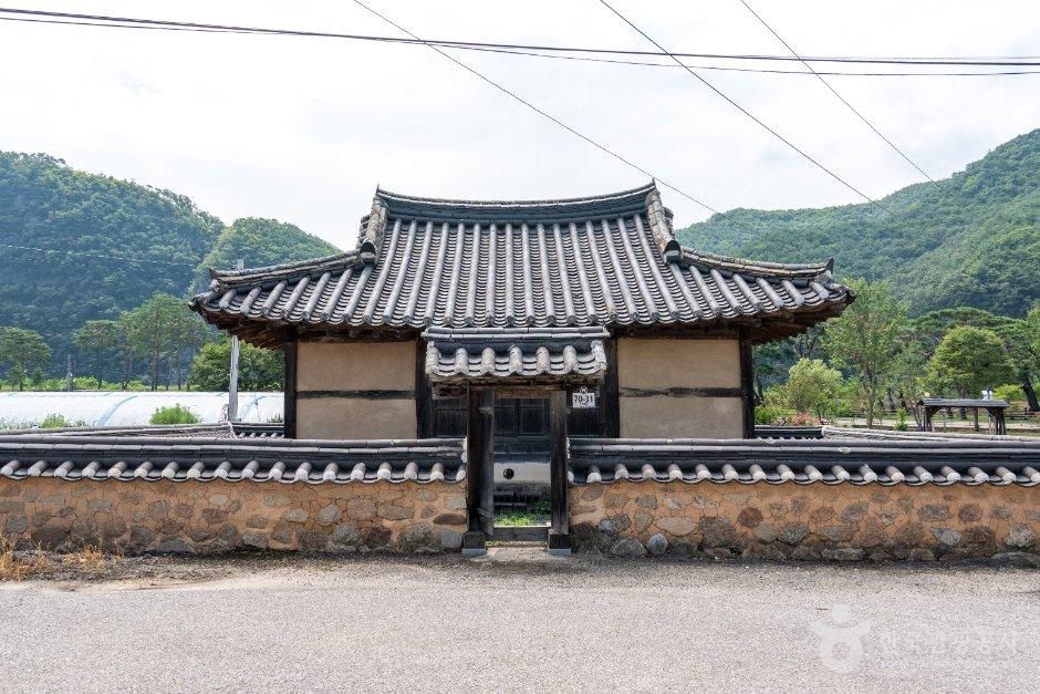 산수정