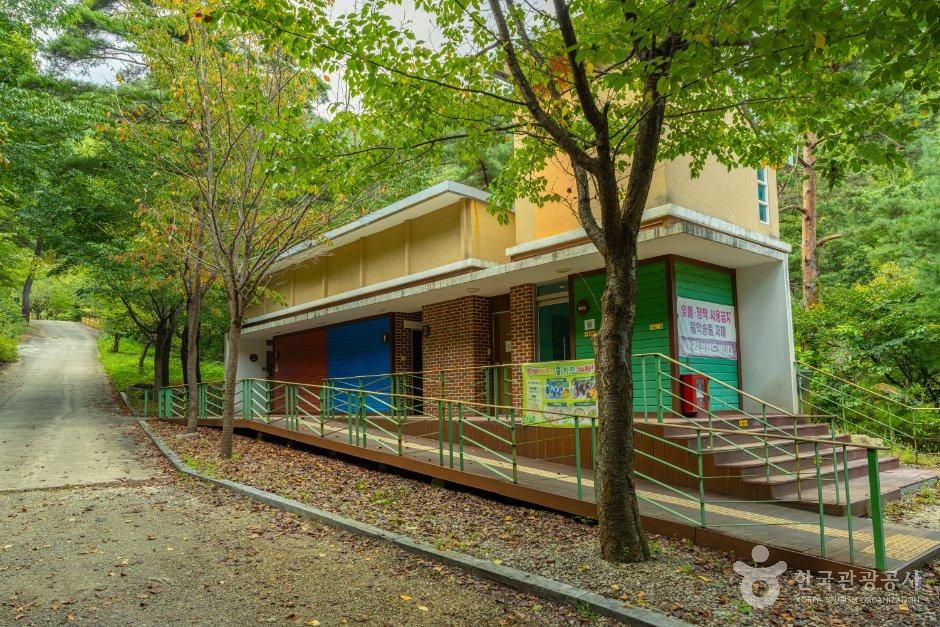 국립검봉산자연휴양림 야영장