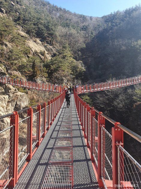 우두산 출렁다리(거창 Y자형 출렁다리)