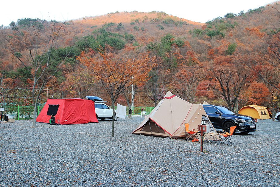 용천토리오토캠핑장