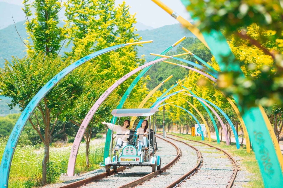 청도_청도 레일바이크 (2)