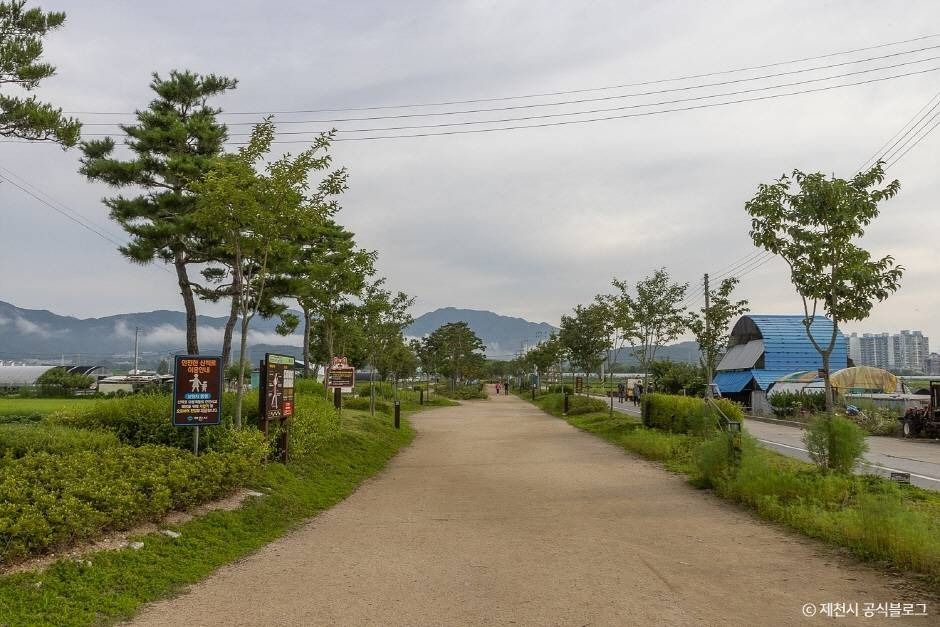 삼한의 초록길
