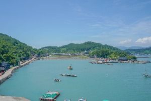 지죽도