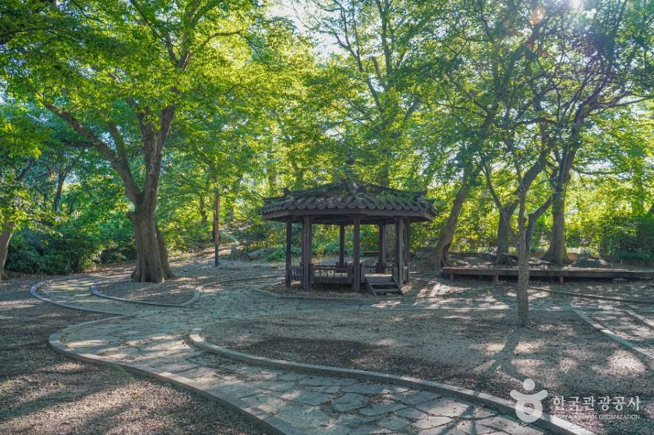 Yongjeon Forest