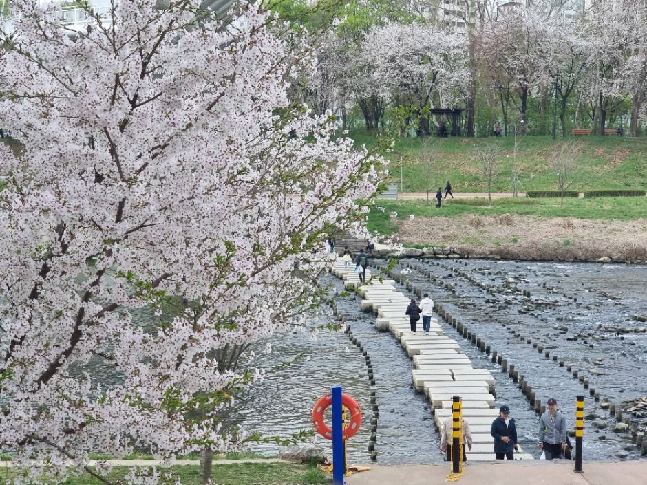 [ソウルドゥルレ道 13コース] 安養川上流コース