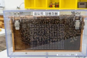 농업회사법인주식회사꿀벌인