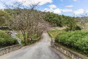자명사(익산) 사진 7