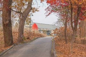 파머스가든봄 사진 4