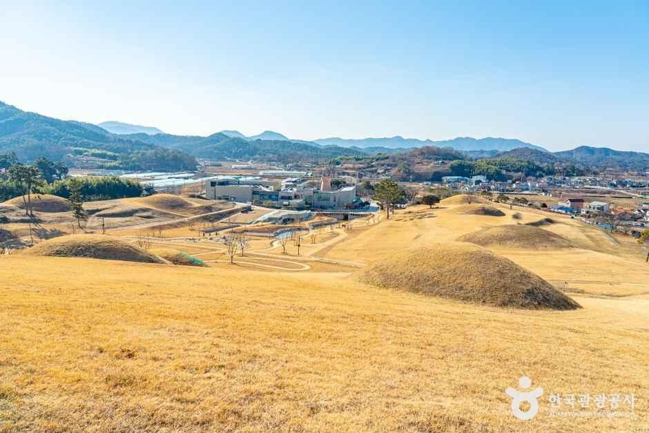 함안_아라가야 고분군 (5).jpg