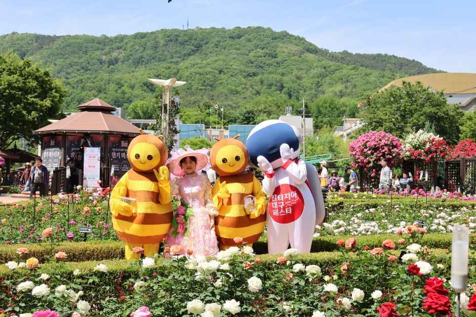 장미꽃 필(Feel) 무렵