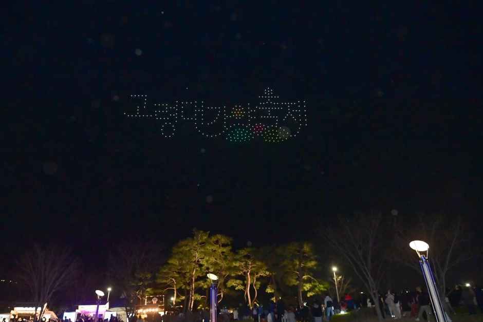 2026 고령 대가야축제 (18).jpg