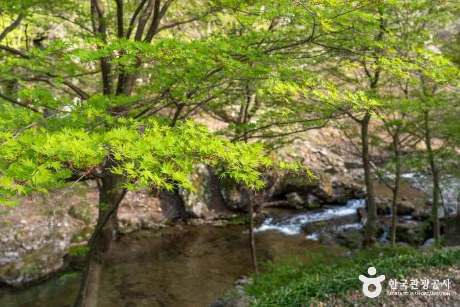 강천산 군립공원
