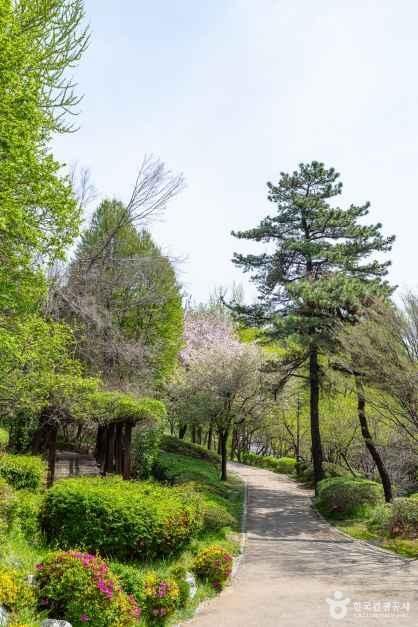 남산 야외식물원