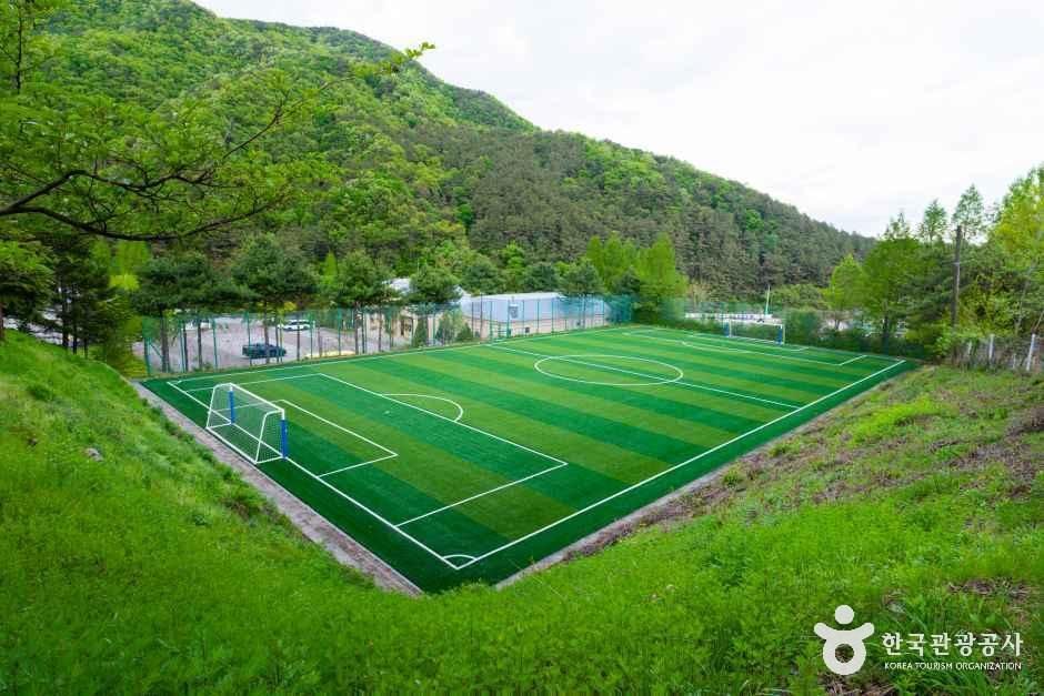 경기미래교육 양평캠퍼스