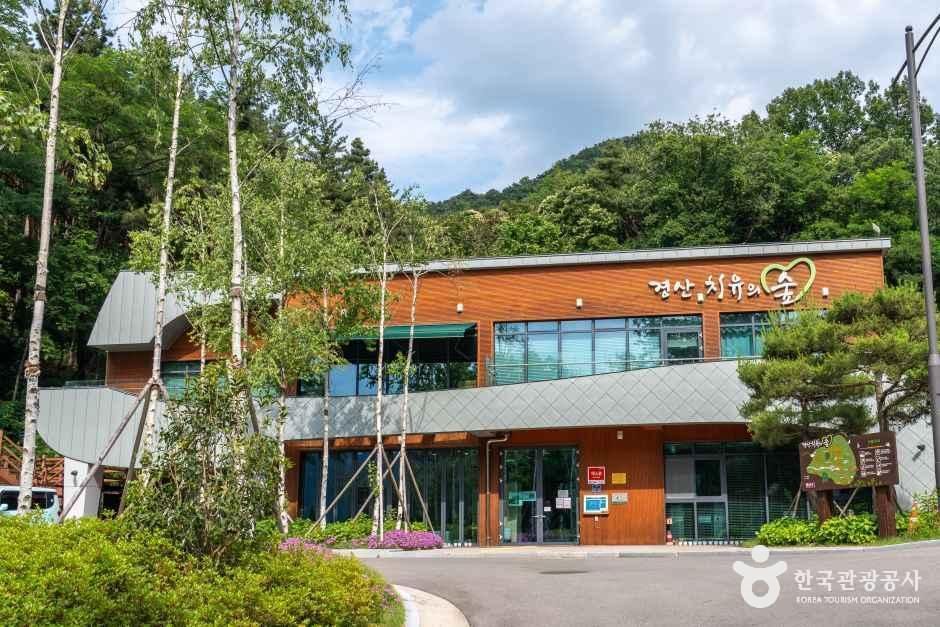 경산 치유의 숲