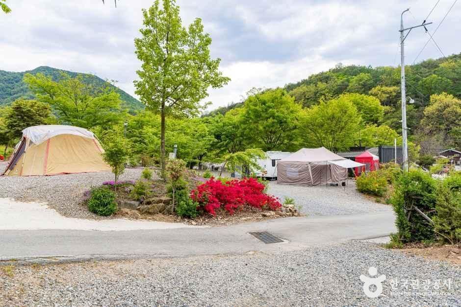 槐山道明山自驾营地