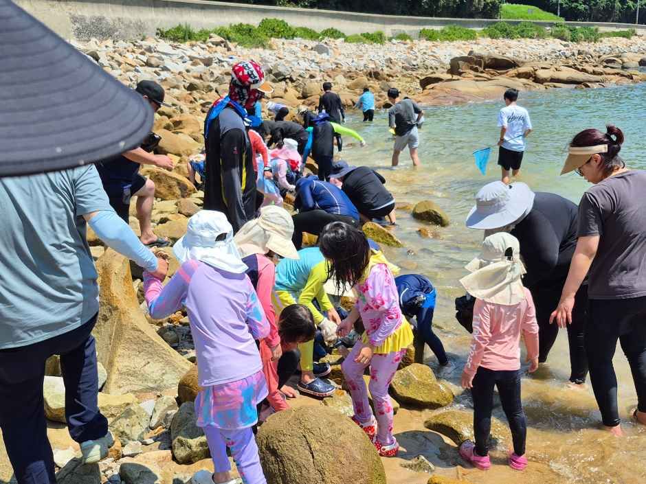 巨文島白島 銀色の海体験イベント