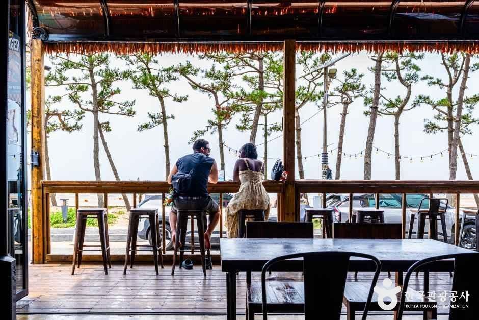엠엘피서프