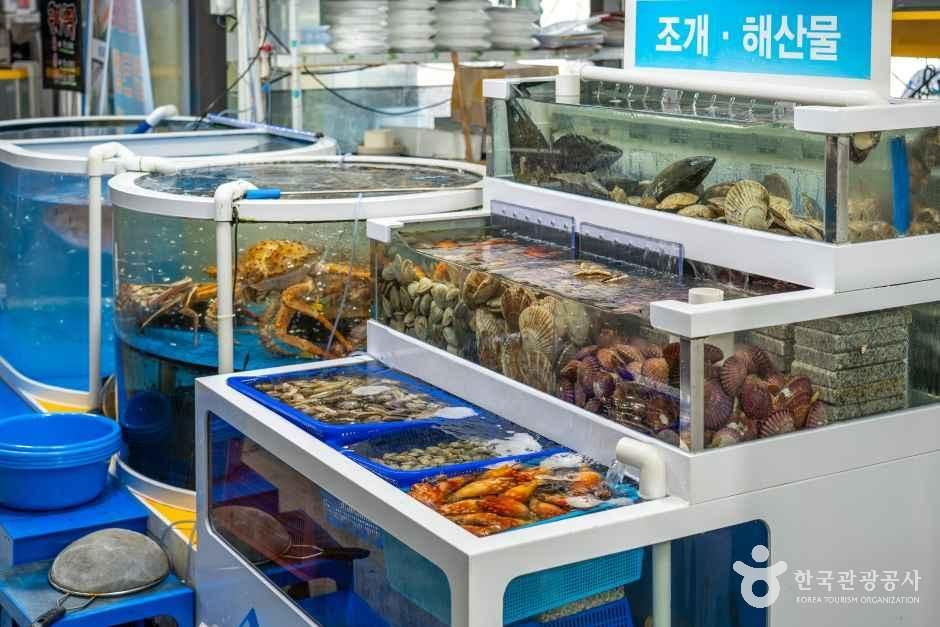 오션시티종합어시장