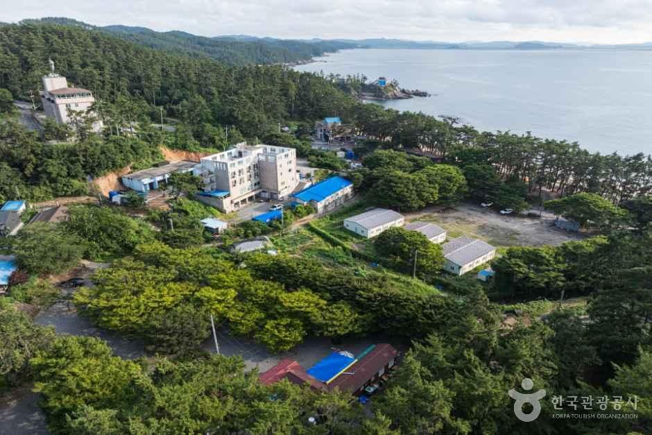 굼벵이캠핑농원