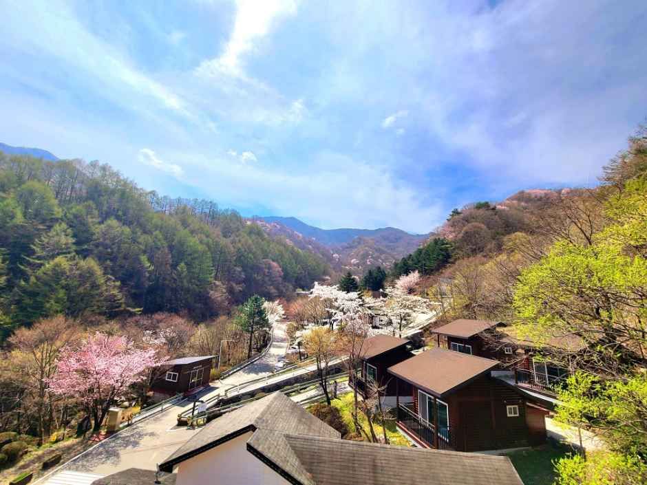 국립지리산자연휴양림