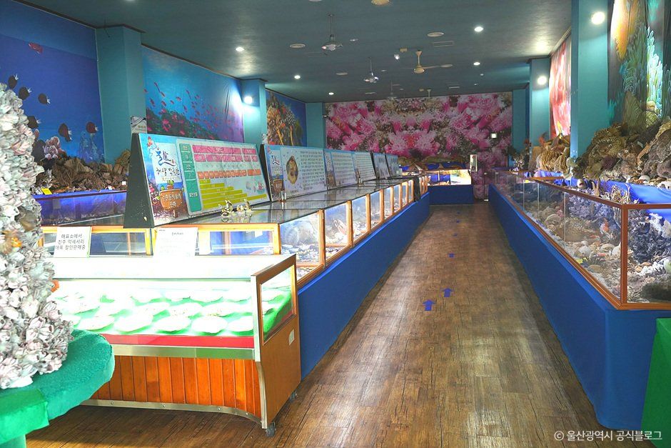 울산_울산해양박물관 (4).jpg