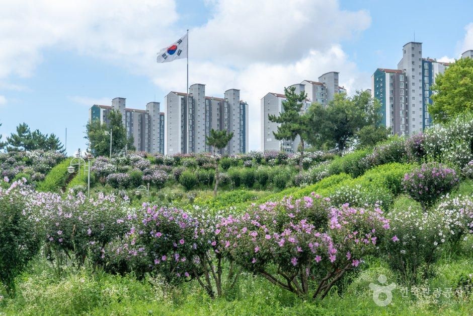 경기_안산시_안산호수공원 무궁화동산 (2).jpg