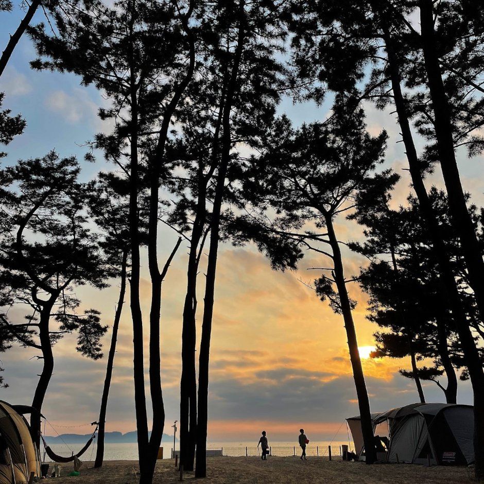 마검포힐링캠핑장
