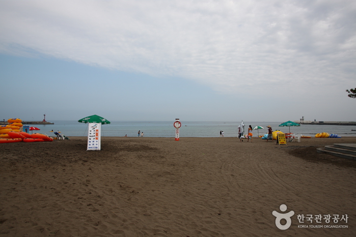 이호 테우해변 이호 테우해변