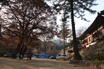[대구올레 팔공산 2코스] 한실골 가는 길