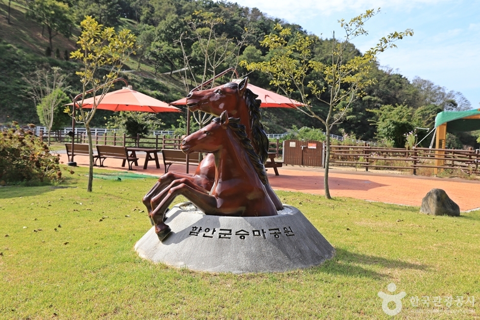 咸安郡乗馬公園