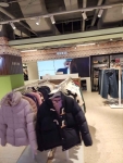 게스진