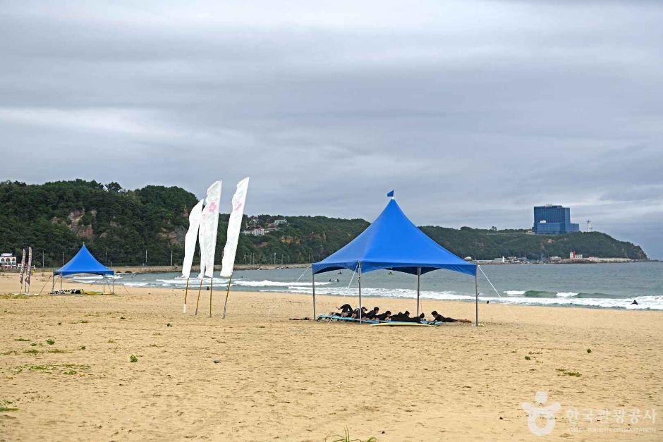 金津海边