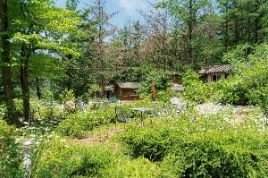 설매재자연휴양림