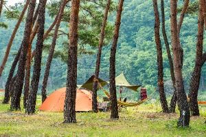 오천솔밭유원지