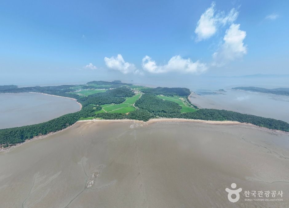 乶音岛（黑脸琵鹭生态村）