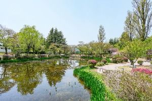 경주_보문정(경주) (5) 미리보기