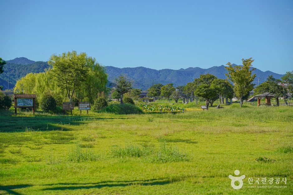 Tamjin River Ecological Wetland Park