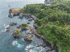 제주도 관광특구