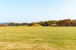 경주 동부 사적지대