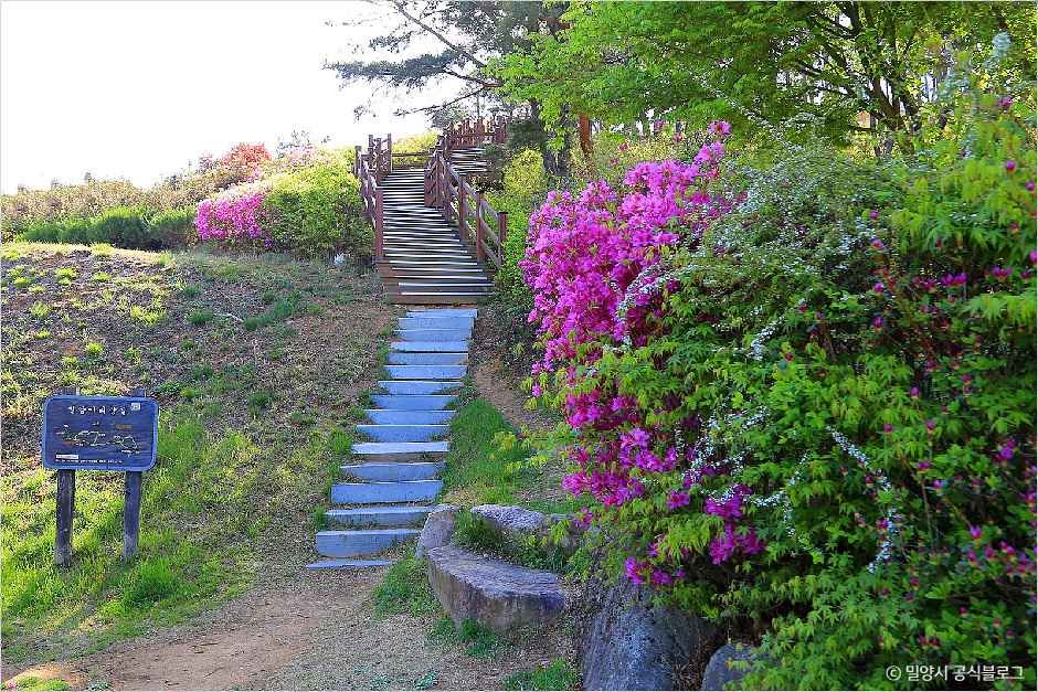 [밀양아리랑길 2코스] 추화산성길