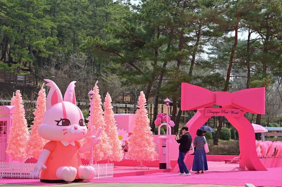 2026 고령 대가야축제 (19).jpg