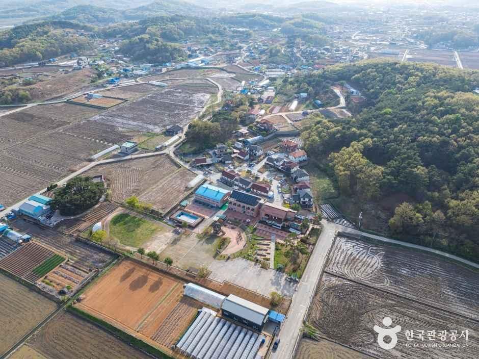 인천_강화_도래미마을 (7)