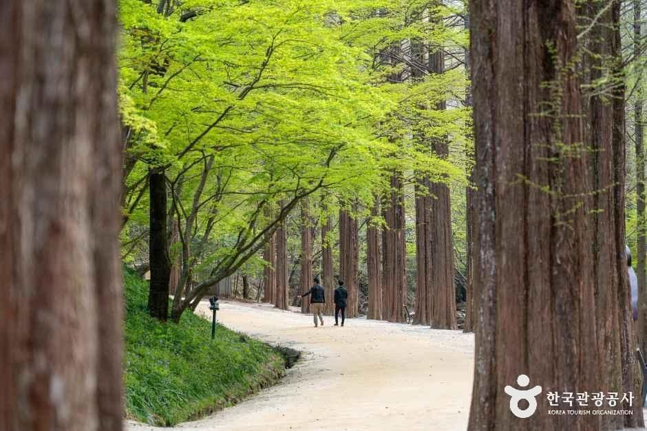 강천산 군립공원
