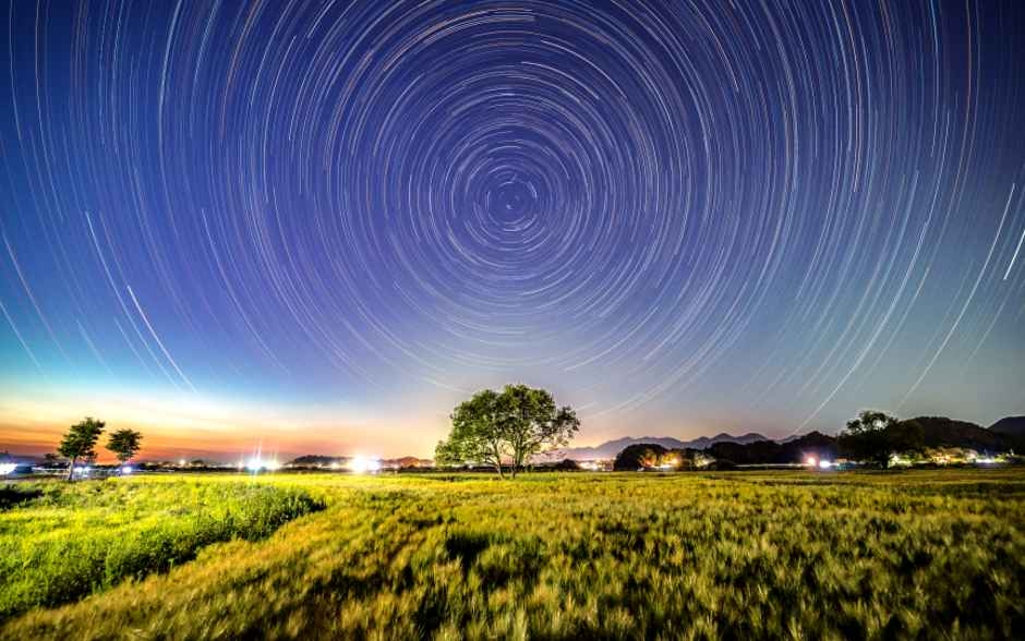 2026 칠서 청보리 작약 축제 (2).png