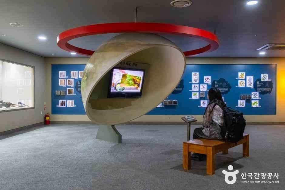 대구_중구_대구 약령시 한의약박물관_내부_4.jpg